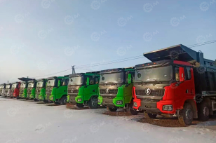 Самосвал SHACMAN 8×4 X5000 SX331863366 550л.с. С КОЗЫРЬКОМ. Фото 11