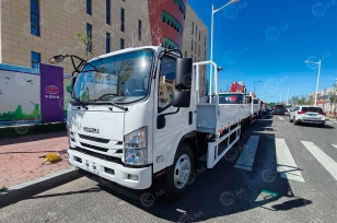Бортовой грузовик ISUZU 4x2 дв 139kw гп 6т кузов 6200x2400x550 шины 8.25R20 14PR со спальником. Фото 1