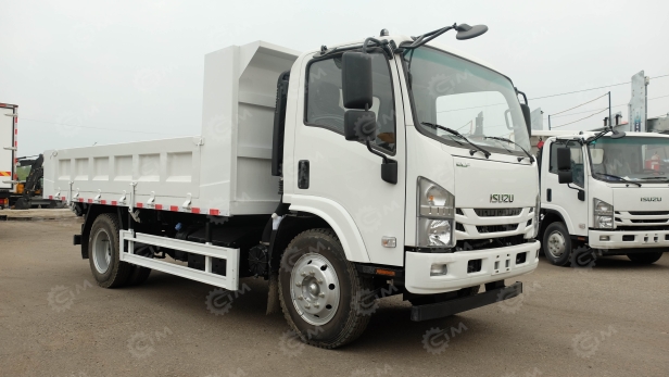 Самосвал ISUZU 4x2 дв 139Kw гп 10 тонн кузов 4900х2300х600 разгрузка на 3 стороны, задний и боковой борт открываются вниз, с петлями. Фото 6