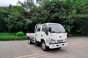 Бортовой грузовик ISUZU 4x2 (электрический) дв 110kw двойная кабина кузов 3235×1850×380. Фото 1