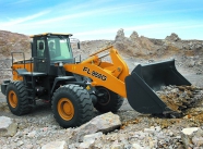 Фронтальный погрузчик Foton 958G. Фото 2