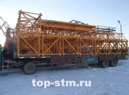 Башенный кран Dahan QTZ80 (5613). Фото 1